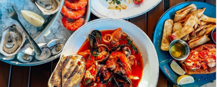 Holiday Travel Dupes in Plano: Festive Escapes Close to Home